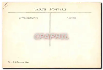 Margeriten — Illustration — Spodani — Rückseite