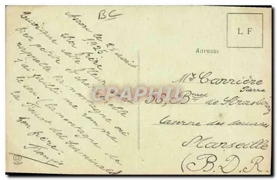 Contadino dei Pirenei — Tipo di contadino dei Pirenei — Fot. Labouche Fr. — Tolosa — Serie 3, n°781 — Verso