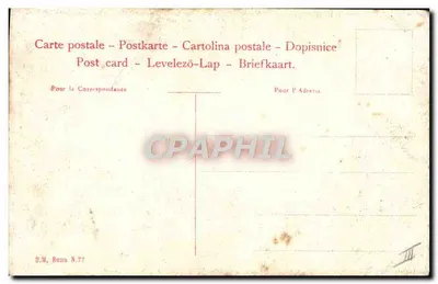 Portret prelata — D.M. Roma N.77 — D.M. Roma — Rewers