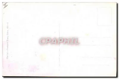 Buffles e piadas de Old Pa — The Cairo Postcard Trust, n°11 — Verso