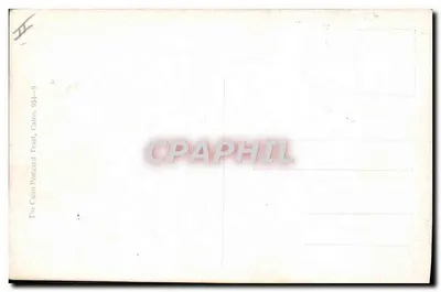 Łowca w Afryce — scena łowczego z antylopiami — The Cairo Postcard Trust, nr 954-0 — Rewers
