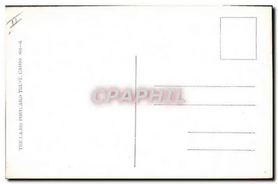 Kasr el Nil — cena de vida cotidiana — The Cairo Postcard Trust, n° 951-6 — Verso