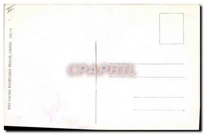 Scena umoristica con mancia — The Cairo Postcard Trust, serie 931-1 — Verso