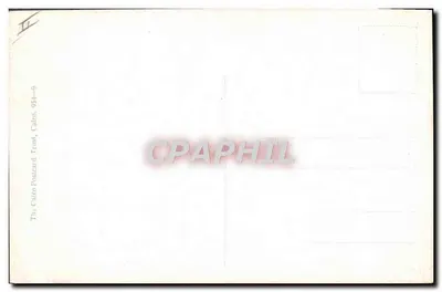 Caçador no deserto — gazelas em fuga — The Cairo Postcard Trust, 954-6 — Verso