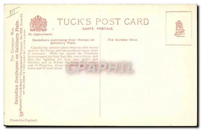 サリスベリ平原で馬を訓練するカナダ兵 — Tuck's Post Card, シリーズII, n° 4324 — 裏面