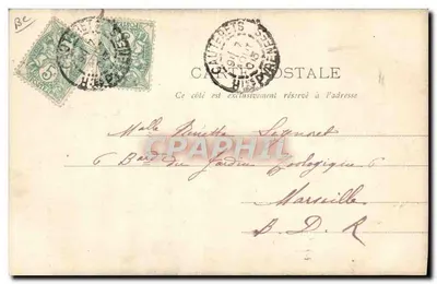 Joven campesina de las Altas Pirineos - Vestidos del País - D. T. Editor, n° 663 — Reverso