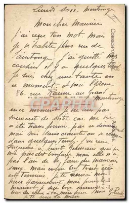 कैले — विक्टोरिया — LL — पीछे