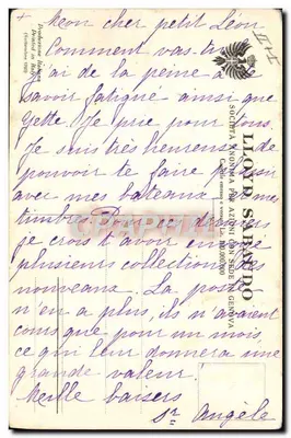 Le paquebot I Tre Conti (The Three Counts) — vue en mer — éditeur Società Nomentana — Verso