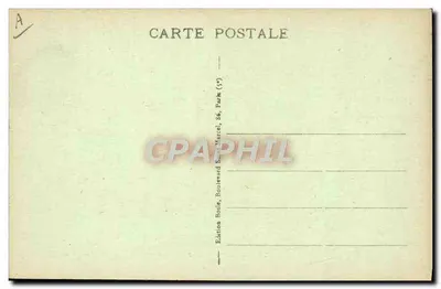 O Pavão e sua família — Paris — Museu de História Natural — n° 336 — Verso