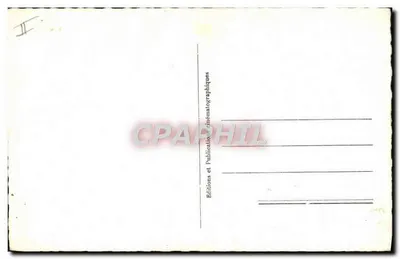 Portret kobiety — kwiaty mleczu — Wydawnictwo i Publikacje Kinematograficzne — Rewers