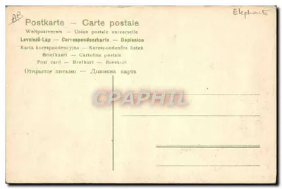 Grande Exposition "India" — scène avec éléphants décorés et personnes en tenue traditionnelle — éditeur NATALIN PESZALI, DRESDE — Reverso