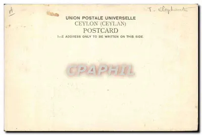 Ceylon — Elefantes de Ceylan — Pinks & Co. — Verso