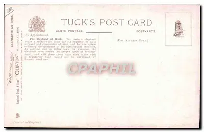 Elefante trabalhando — Tuck's Post Card, série 'Elephants at Work' n°800 — Verso