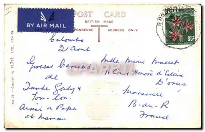 Udomienione słonie kąpiące się — Cejlon — British Made Post Card Ltd. — Rewers