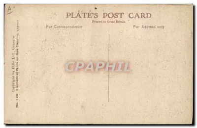 Elefant w wyłupianej lesie — Ceylan — Plâté's Post Card n°120 — Rewers