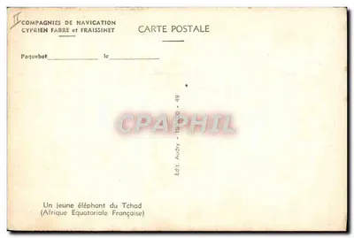 Um jovem elefante do Chade — África Equatorial Francesa — Pierre Ichac — Verso