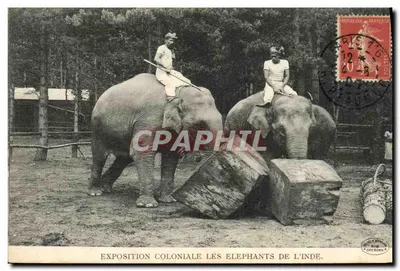 Exposition coloniale — Les éléphants de l'Inde — Éditeur : Anglaphil, Dresden