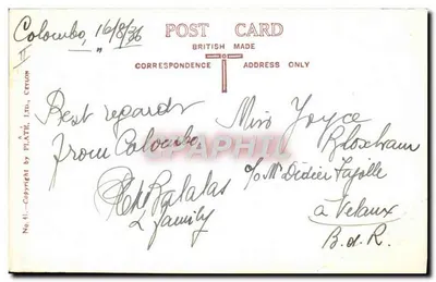 Domestyczny słonko w trakcie rozwierania dżungli na Cejlonie — wydawca Plate, Ltd. nr 41 — Rewers