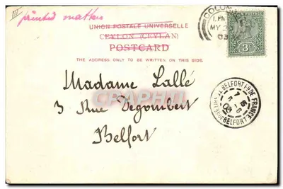 Ceylon — Elefanci z Ceylon — A. W. A. Piblé & Co. — Rewers