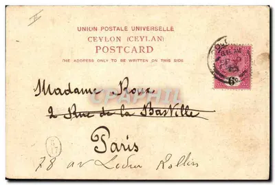 Ceylon — Elefanci w rzecce — A. W. A. Plâté & Co. — Rewers