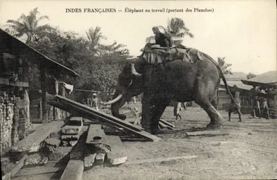 Índias Francesas — Elefante no trabalho (carregando tábuas) — sem editor ou número visível