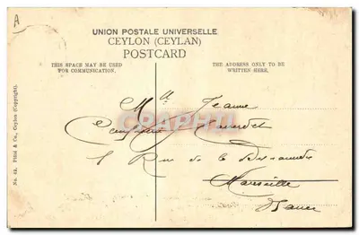 Elefantes Sagrados Pertencentes ao Templo de Kandy — Ceylon (Sri Lanka) — Piaté & Co. No. 42 — Verso