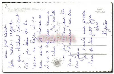 Elefante pronto para carregar — Fauna africana — Edição Rastigny Interdip — n°702 — Verso