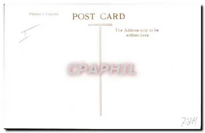 Parque Nacional de Kruger — Leões — Copyright K.917 — Verso
