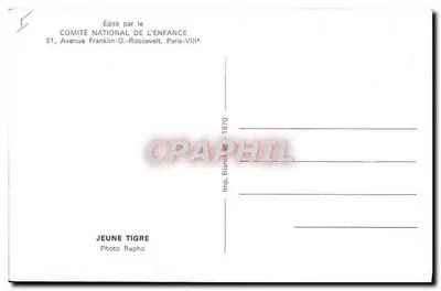 Jovem tigre — Foto Rapho — Editado pelo Comitê Nacional da Criança, Paris-VIII* — Verso