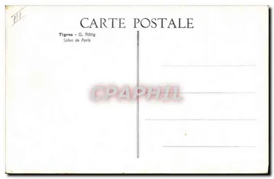 Tigres — G. Rötilg — Salão de Paris — Verso