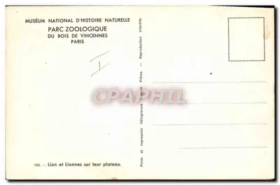 Leão e Leões em seu platô — Museu Nacional de História Natural, Parque Zoológico do Bois de Vincennes, Paris — série 153 — Verso