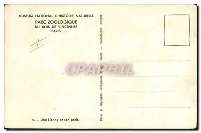 Lionne e seu filhote — Muséum national d'Histoire naturelle, Parc zoologique du Bois de Vincennes, Paris — série 55 — Verso