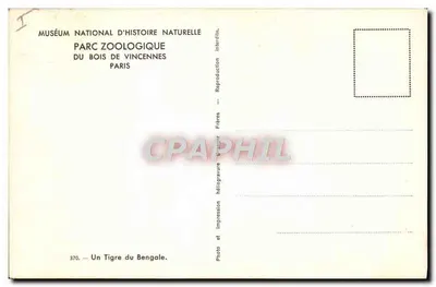 Tygrys bengalski — Muzeum Narodowe Nauk Przyrodniczych, ZOO w lesie Vincennes — Wydawca: Bracia Erbes — Rewers