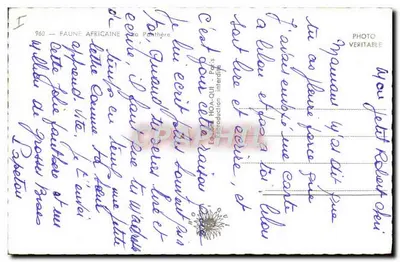 Leopardo — África — Edição HOA-QUI, Paris, n° 960 — Verso