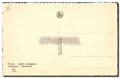 Tiger — Antwerpen, ZOO — Em. Tiill, Dinxelles — Rewers