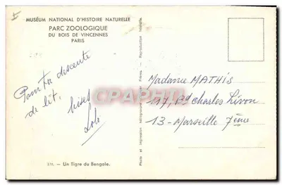 Tygrys Bengalski — Muzeum Narodowe Nauki Przyrodniczej, ZOO w Bois de Vincennes — reprodukcja — Rewers