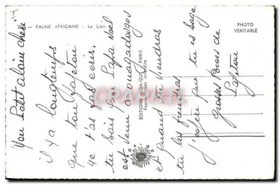 O Leão — Fauna Africana — Edições Nica-Quin Paris — Verso