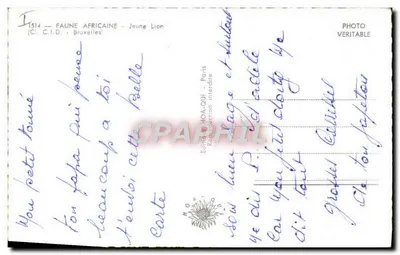 Jovem Leão — Fauna Africana — Edição HOA-QUI, Paris — Verso