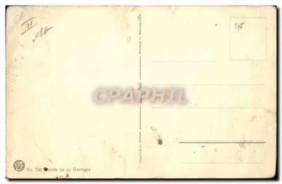 Pointe de la Garoupe — vue côtière avec pin — E. Riasede — Verso