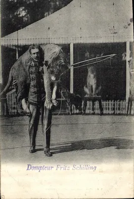Dompteur Fritz Schilling — avec lion dans un cirque — éditeur WILKOSTETT & WATNER, LÜCHTENACHER, JAMURG, 1905