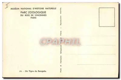 Tiger Bengalski — Narodowe Muzeum Historii Naturalnej, Zoologiczny Park Bois de Vincennes, Paryż — seria 370 — Rewers