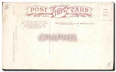Leão em sua jaula — Zoológico — Harding & Billing's Post Card, série 11 — Verso