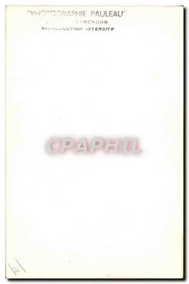 Twee leeuwen aan de rand van een waterloop — Fotografie Pauleau — Cameroun — Achterkant