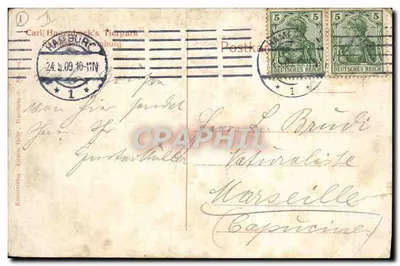 Bilhete postal antigo Felin Lion Carl Hagenback's Tierpark Stellingen Hamburg — Verso