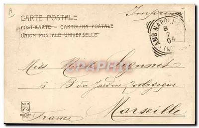S.A.R. Luigi Amedeo, Duque de Abruzzo — retrato militar — editor desconhecido, n° 3277 — Verso