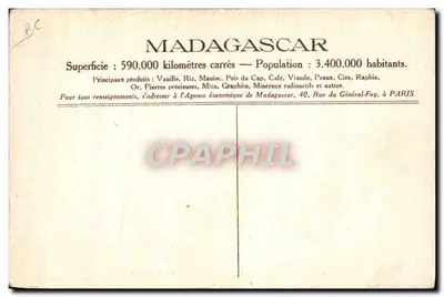 Madagascar — Colheita de Penas de Avestruz em Tuléar — Verso