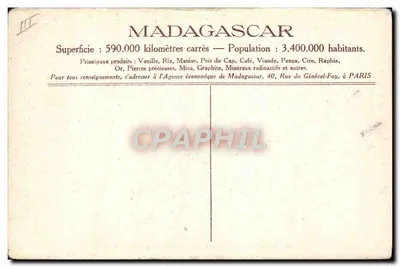 Madagascar — Colheita de Penas de Avestruz em Tuléar — Verso