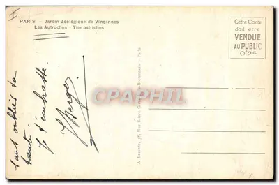 Paryż - ZOO w Vincennes — Struś — Rewers