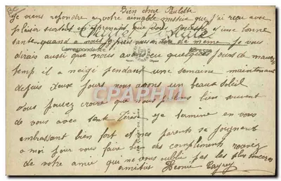 पायरीनीज के प्रकार — LL. — संख्या 7 — पीछे