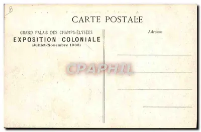 Struś z wystawy kolonialnej — E. L. D. — 1906 — Rewers